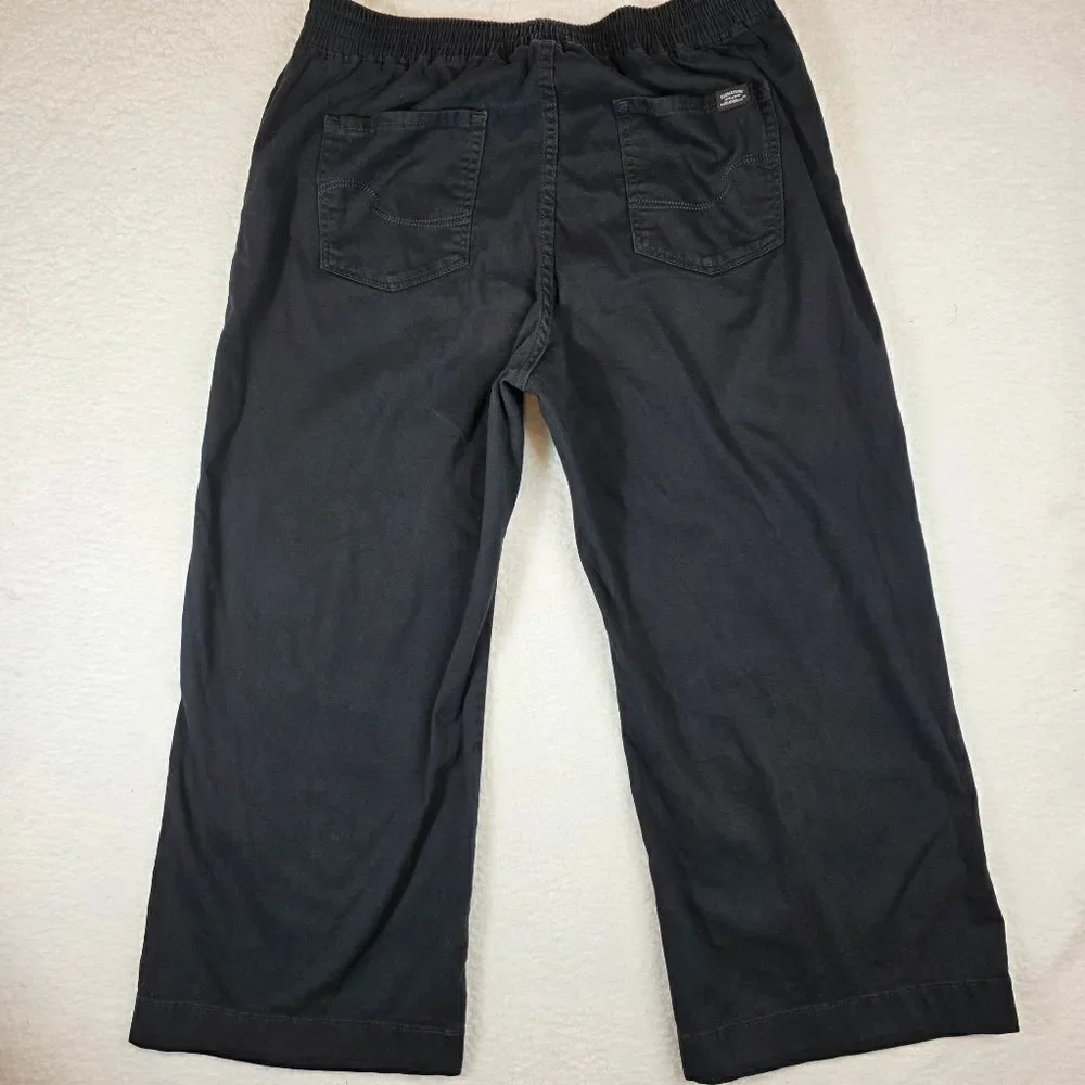 Levi's Signature Wide Leg Cropped Pullon Pants Size 14/32